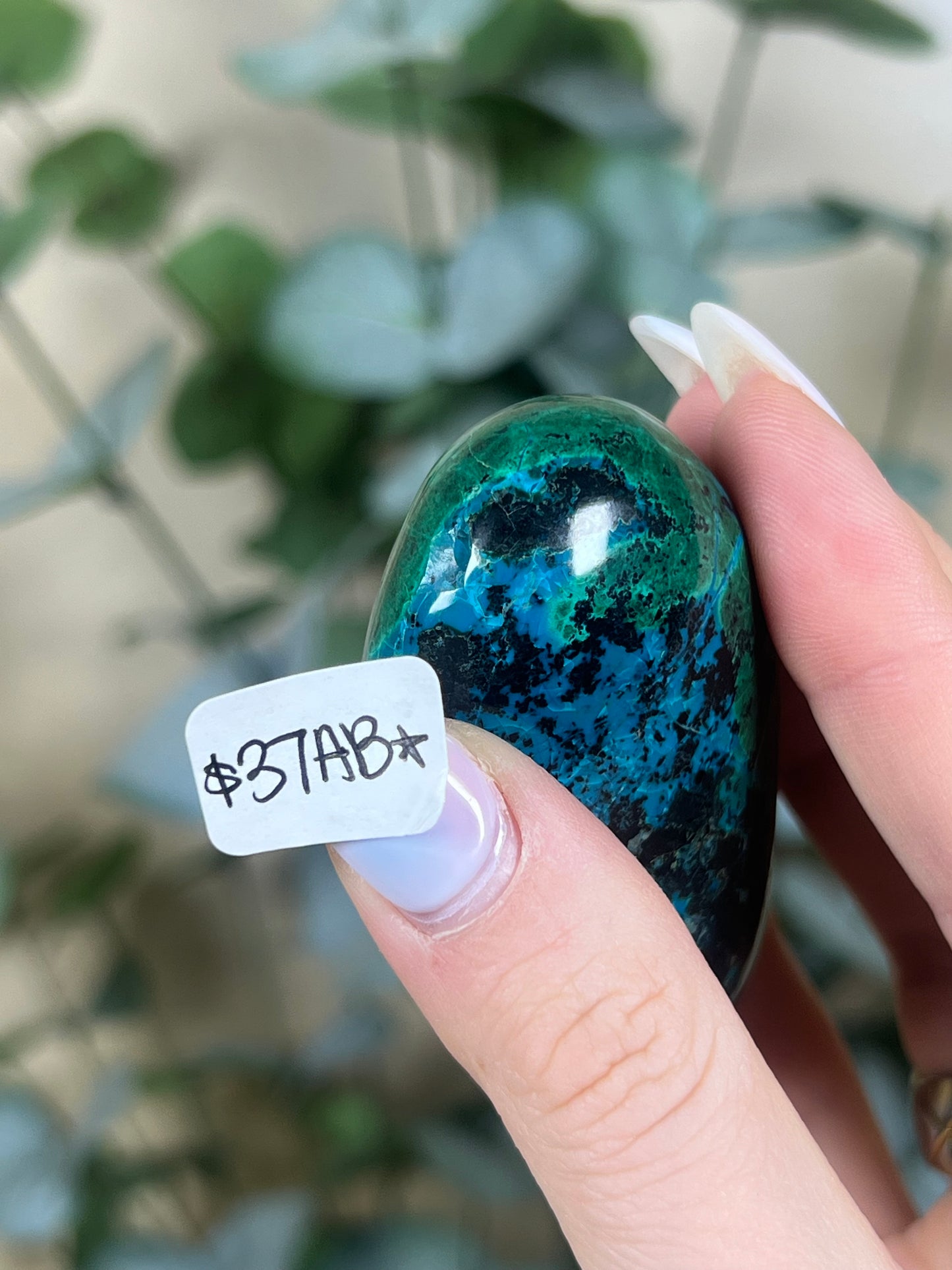 Malachite Chrysocolla Freeforms (37AB-61AA)