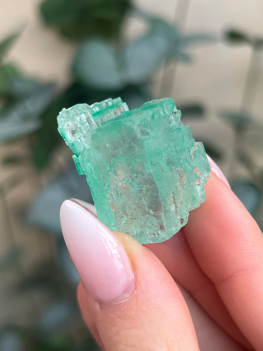 Green Halite with Display Block (65KJ)