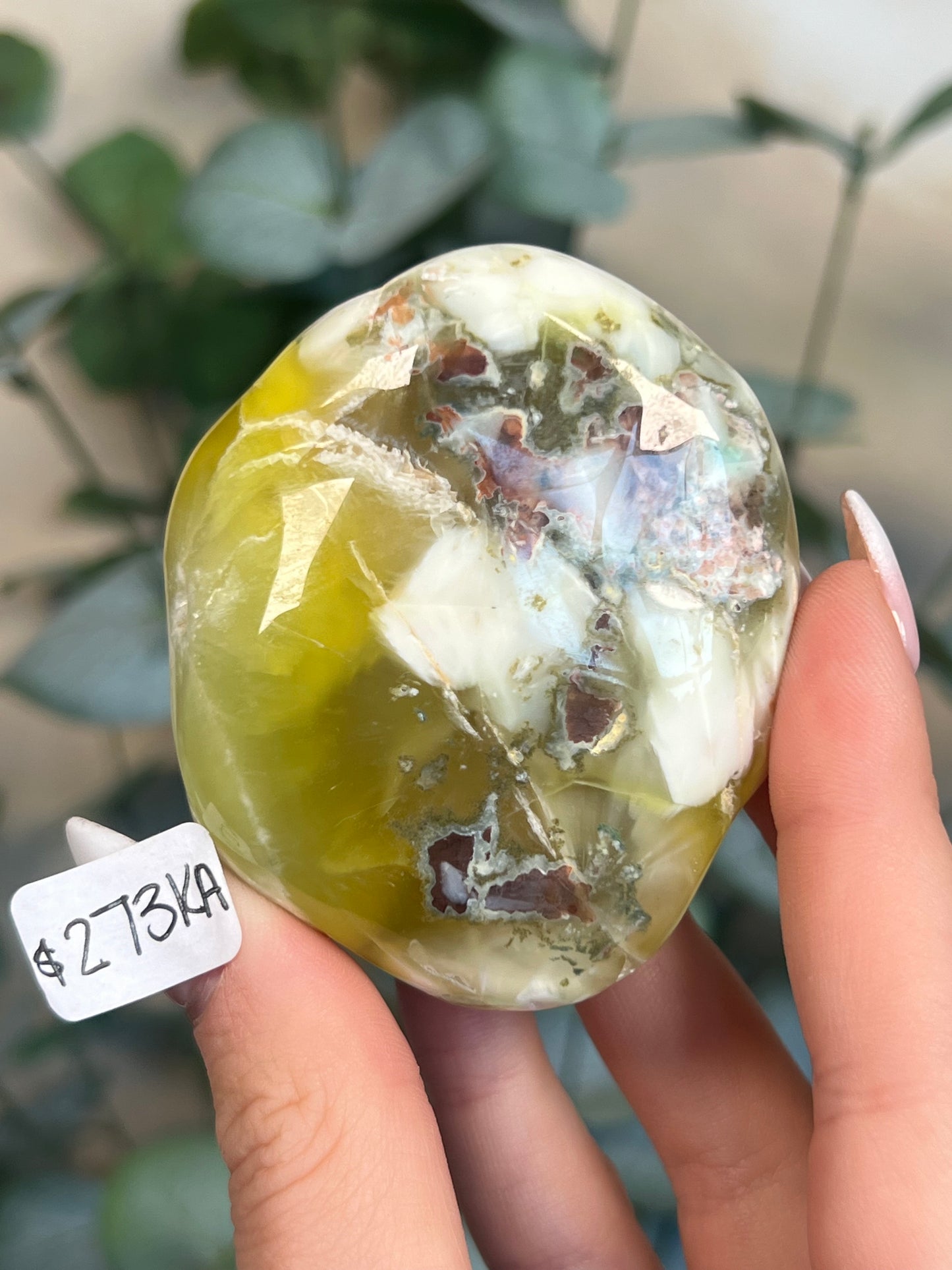 Australian Prehnite Polished (273KA)