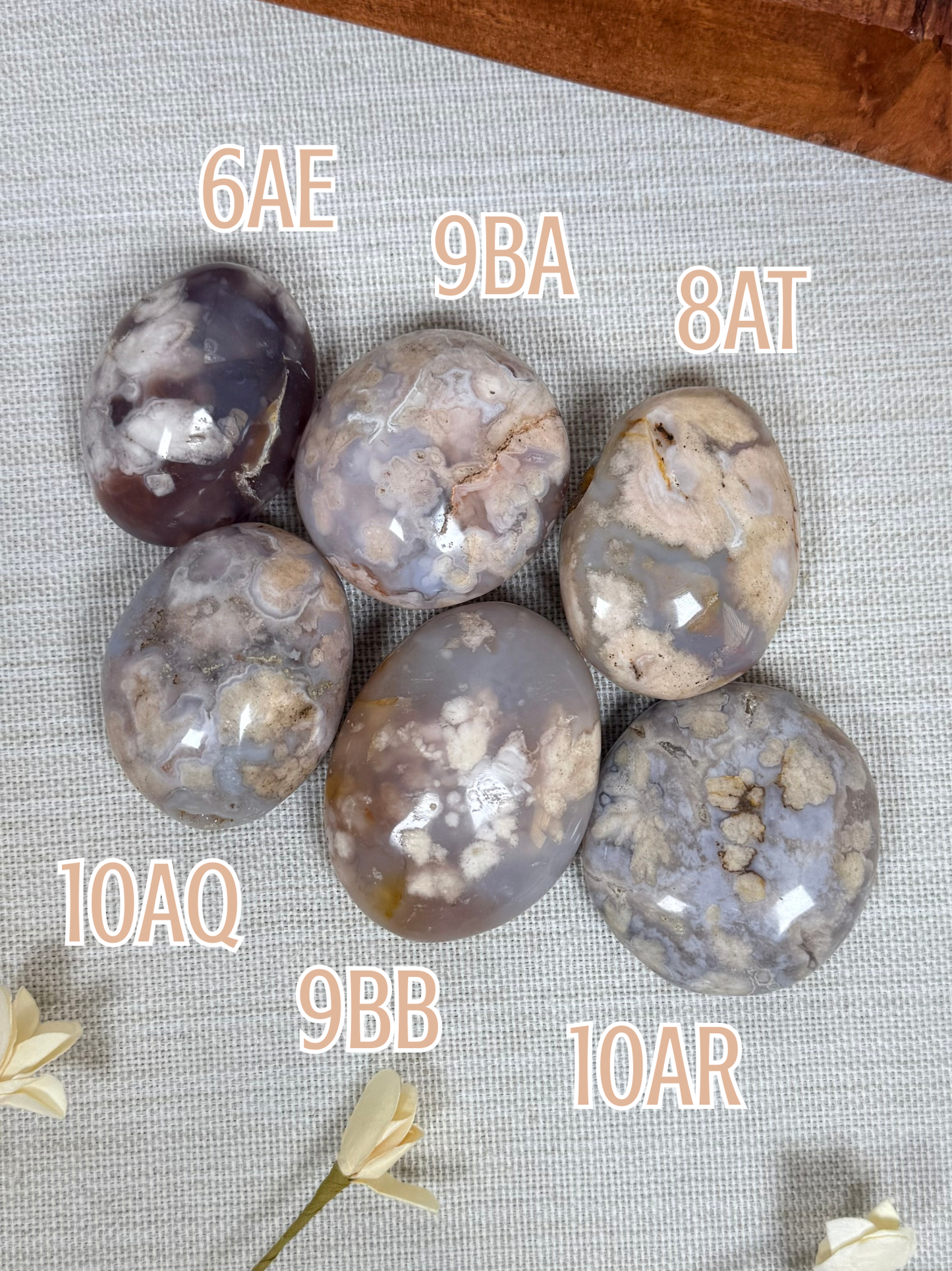 Flower Agate Palms (6AE-10AR)