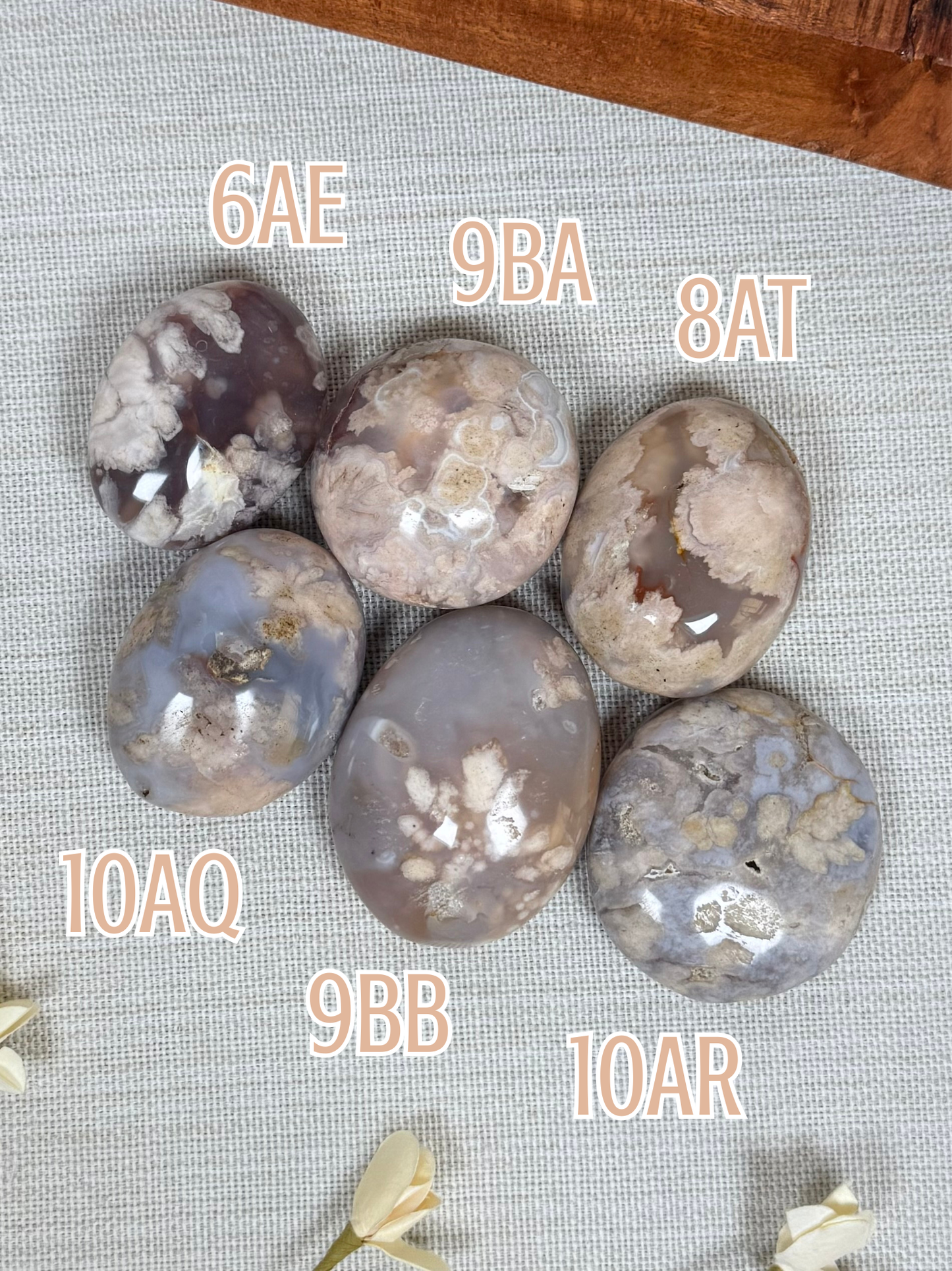 Flower Agate Palms (6AE-10AR)