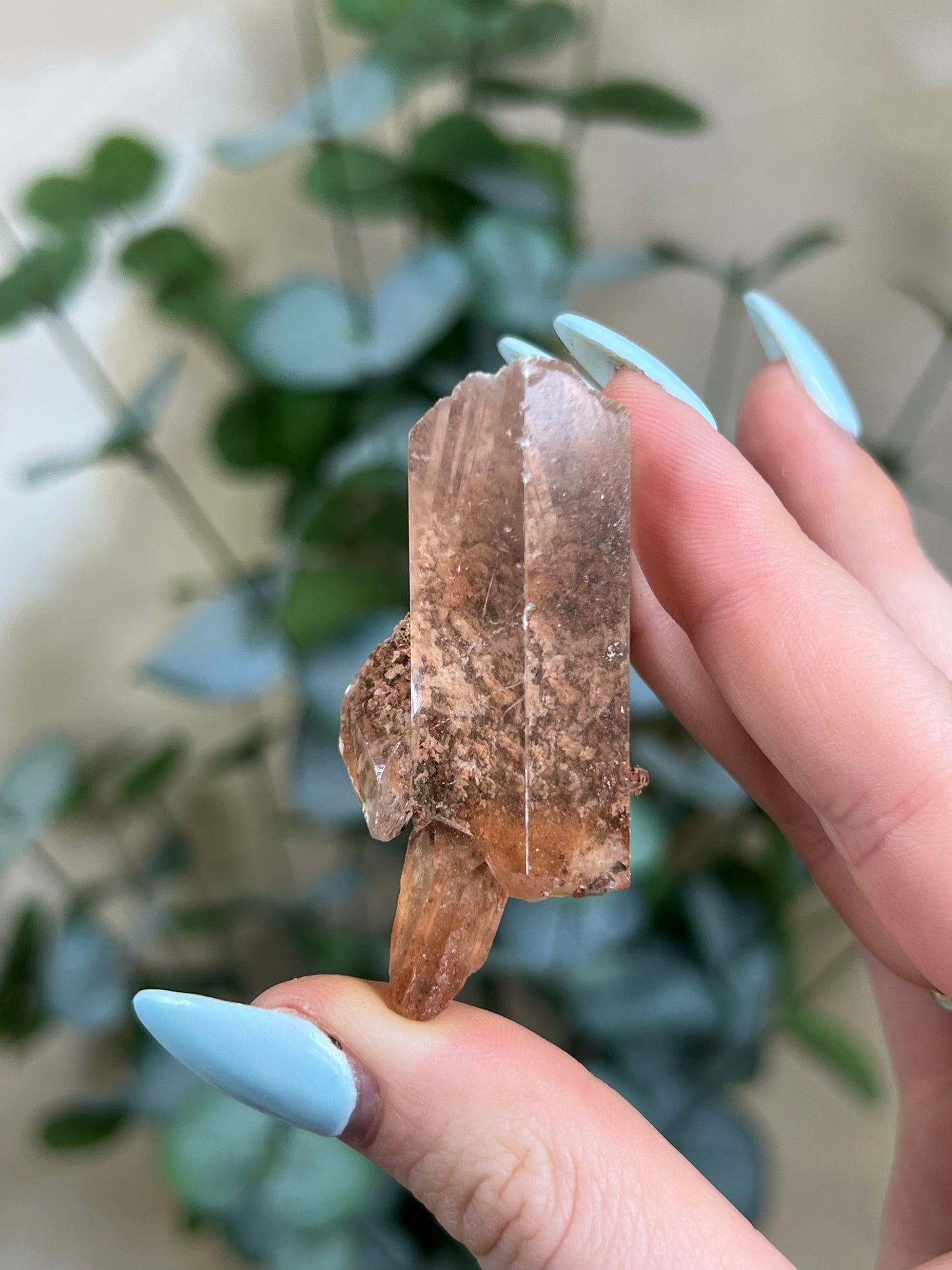 Durango Selenite (111EA)