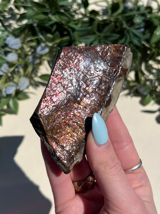 Ammolite (40AH)