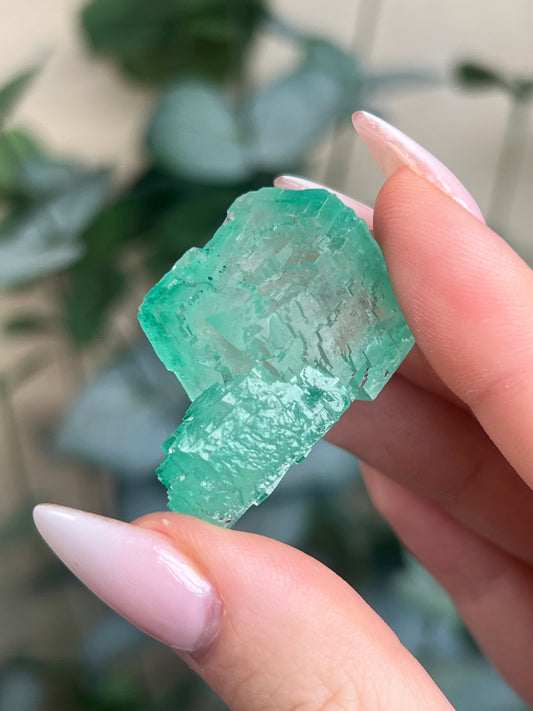 Green Halite with Display Block (55KX)