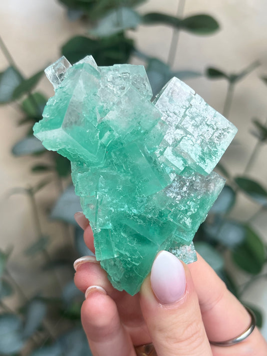 Green Halite with Display Stand (364KA)