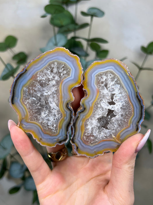 Condor Agate Pair (482EA)