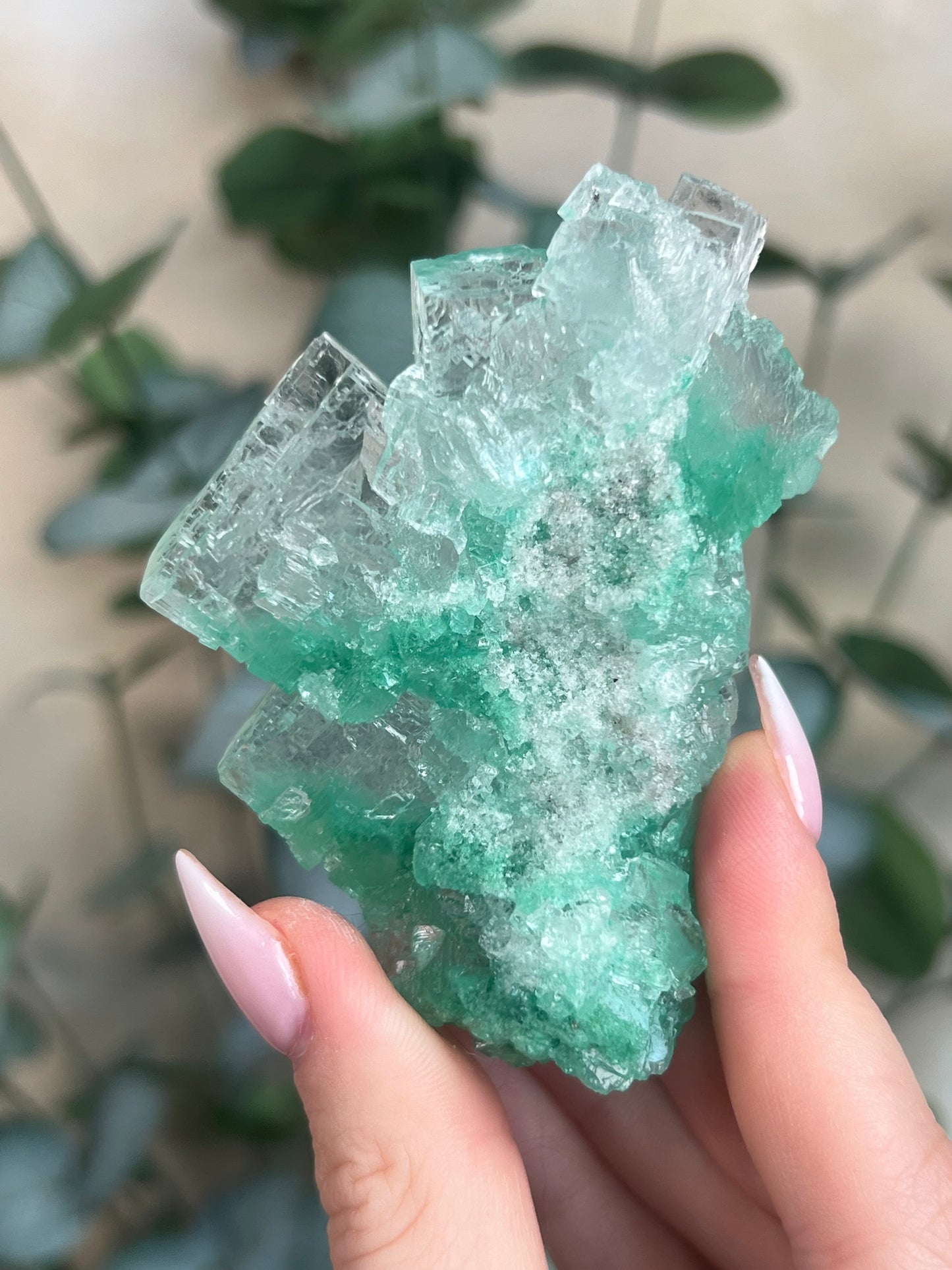 Green Halite with Display Stand (364KA)