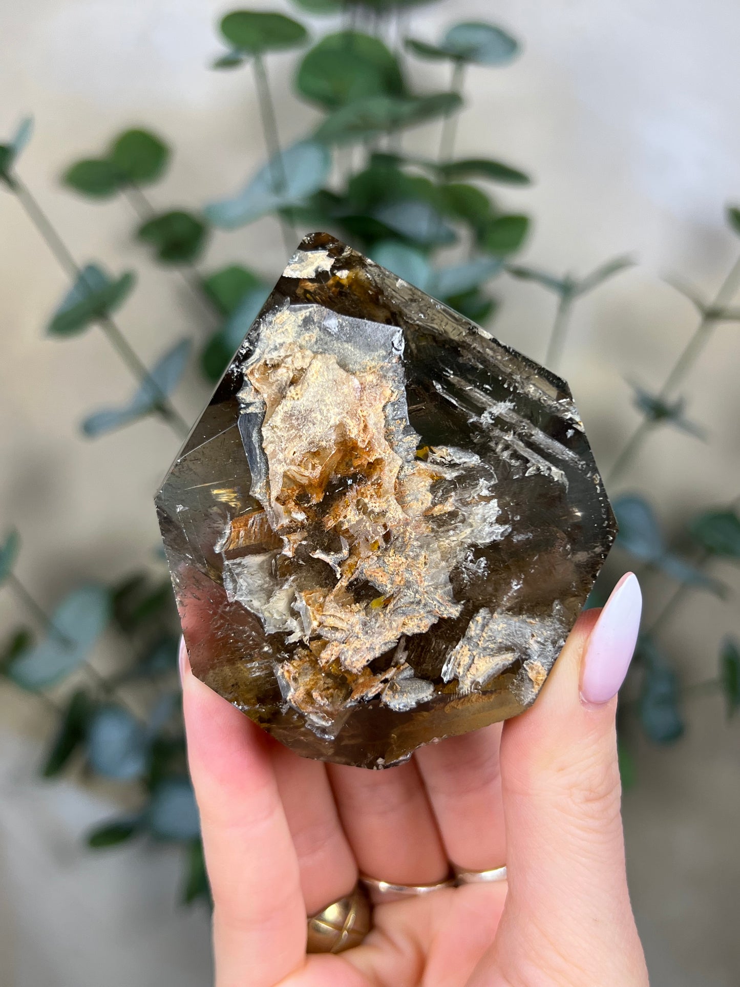 Skeletal Smoky Quartz Freeform (85TB)