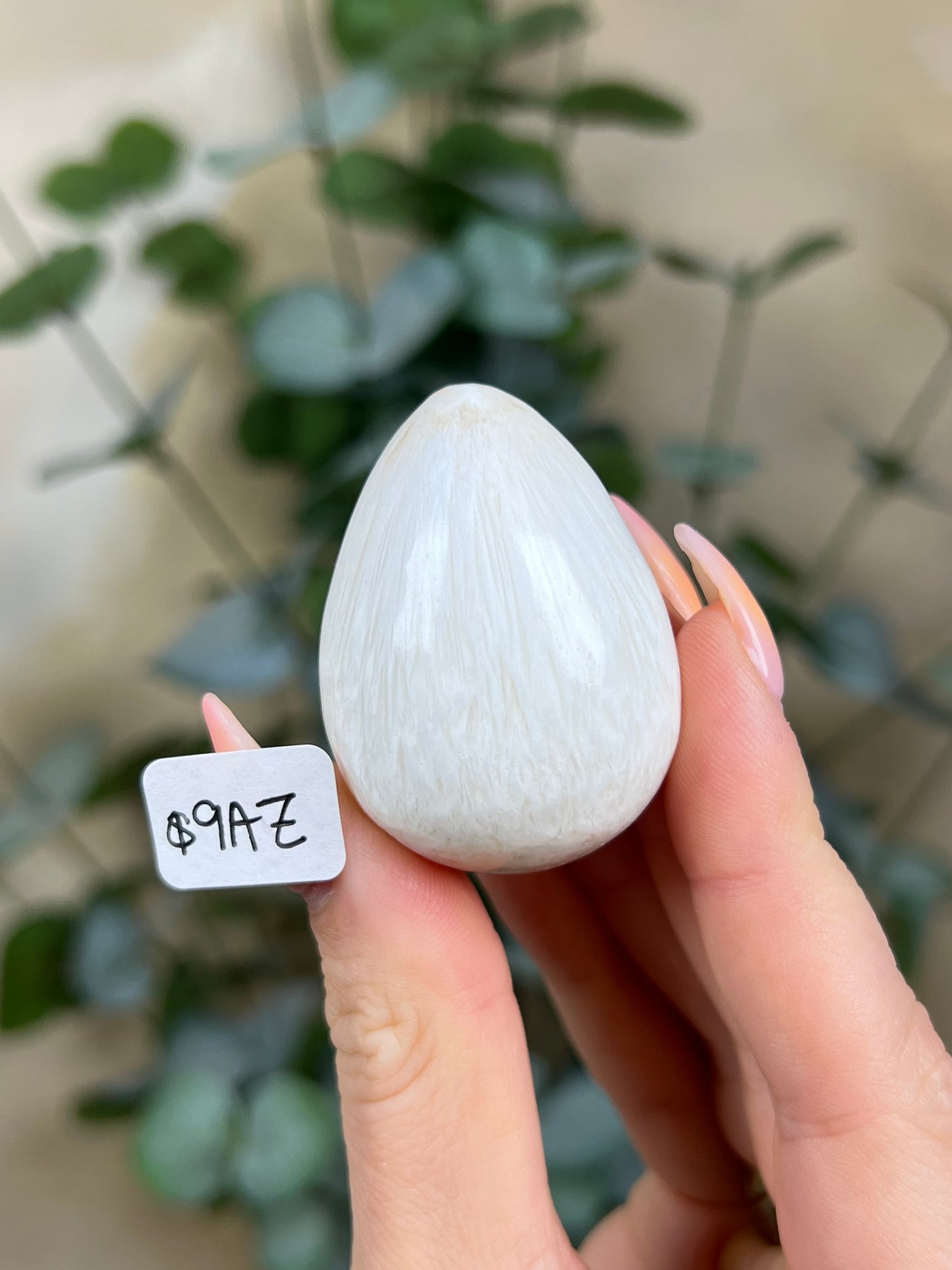 Scolecite Eggs (9AZ, 22AI)
