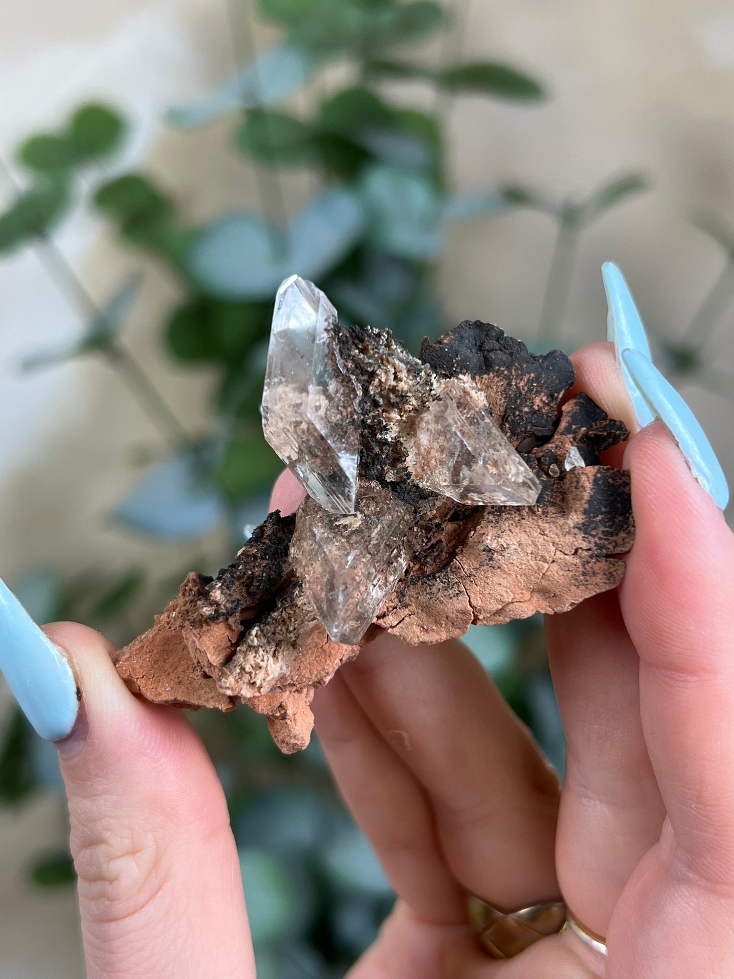 Durango Selenite (51EA)