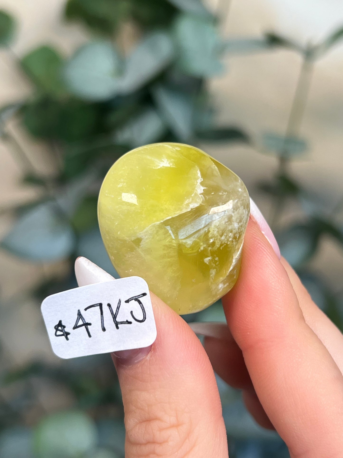 Australian Prehnite Polished (47-50, 4 options)