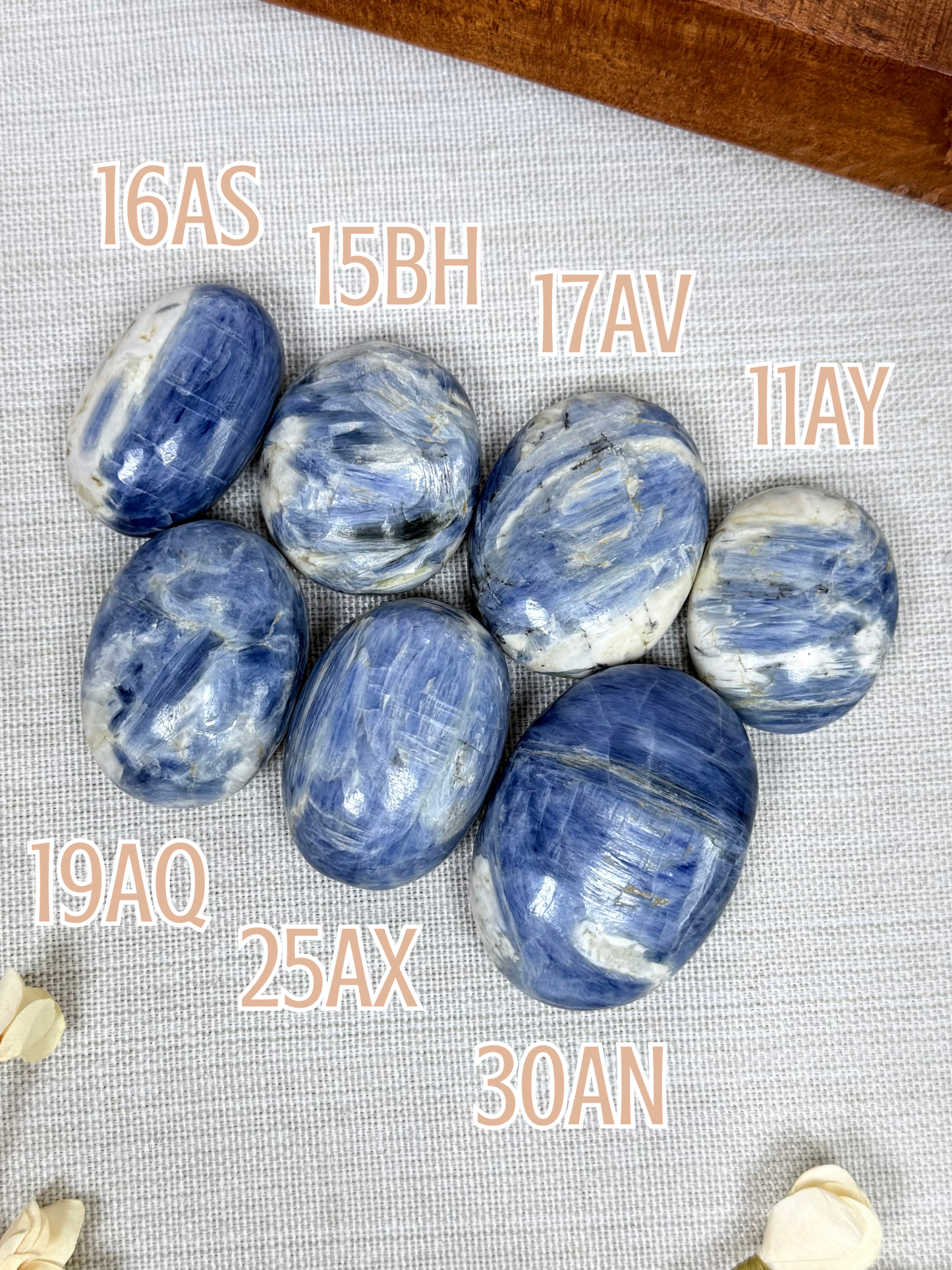 Kyanite Palms (7 options)