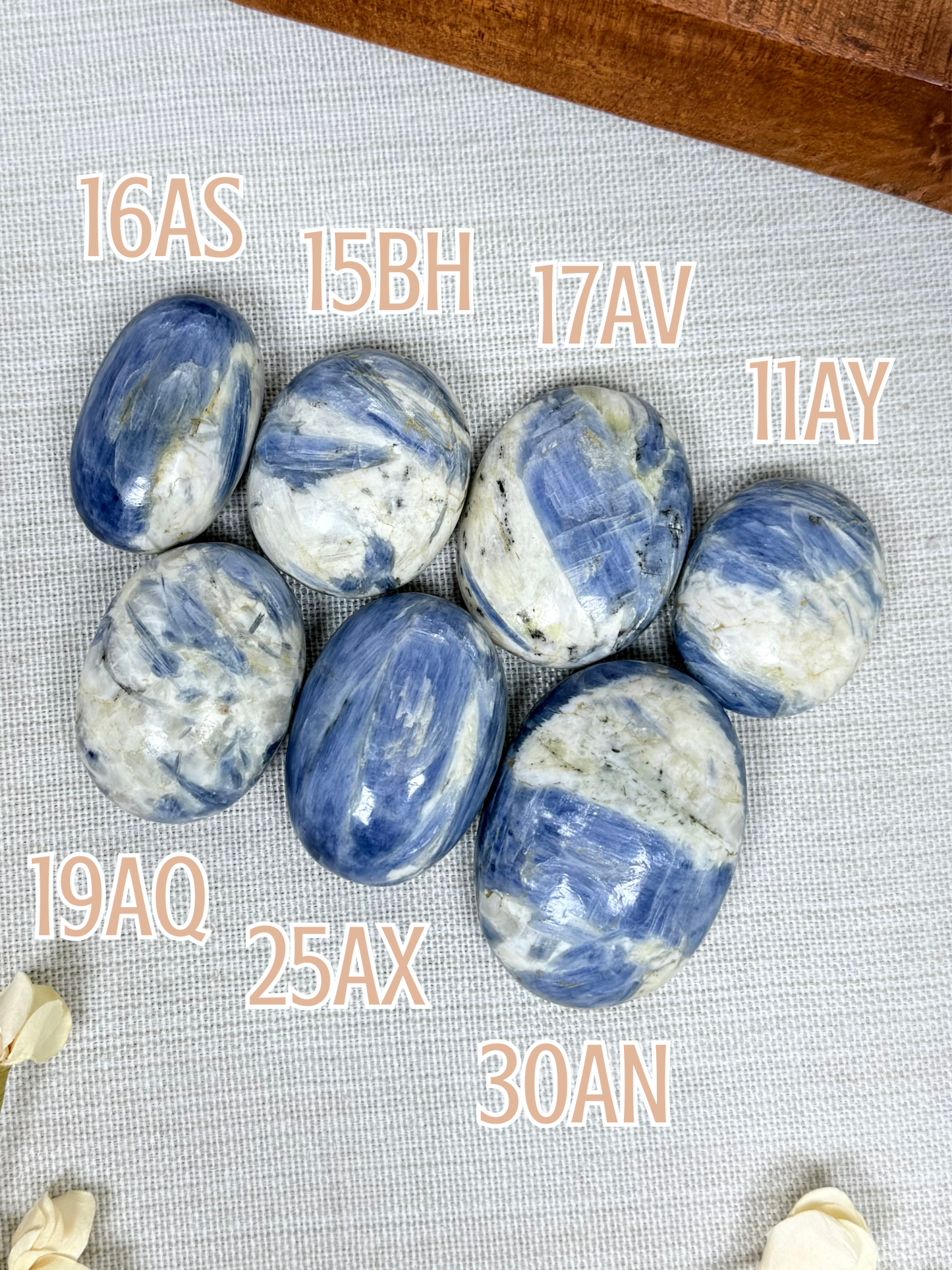 Kyanite Palms (7 options)