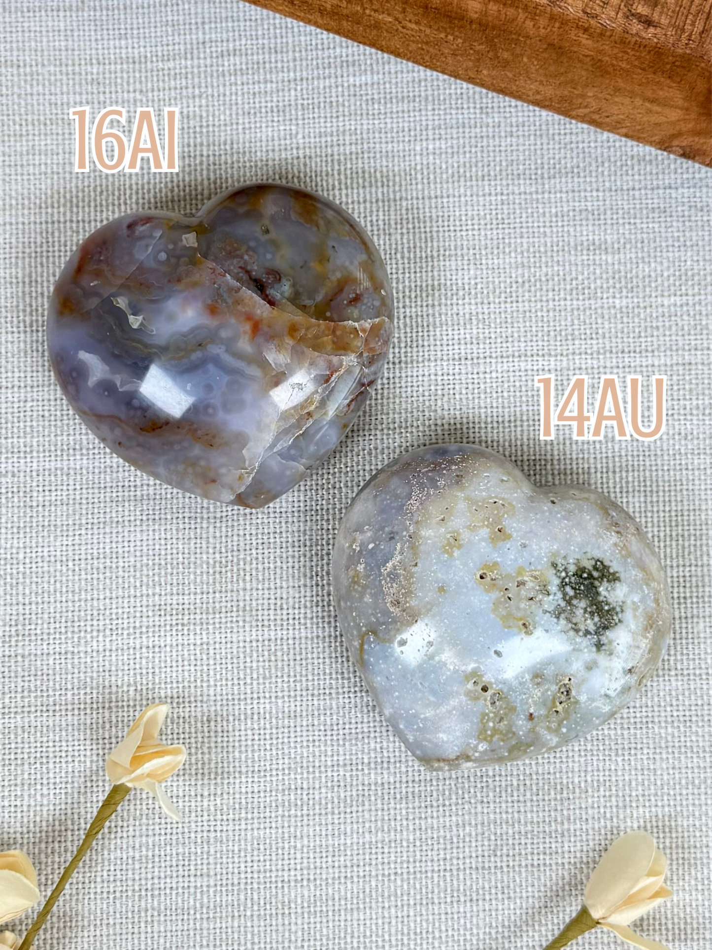Sea Jasper Hearts (14AU, 16AI)